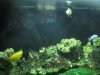 fish 019.jpg