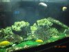 fish 022.jpg