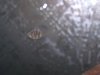 100_0885.JPG