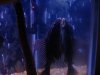 fish tank pics 027.jpg