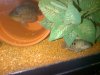 IMG-20130210-00864.jpg