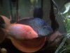 IMG-20120613-00494.jpg