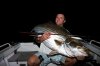 Big Barramundi 2.jpg