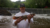 bowfin5.png