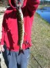 ImageUploadedByMonsterAquariaNetwork1367793497.743278.jpg