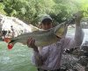 affinis wr.jpg