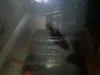 uploadfromtaptalk1367938001372.jpg