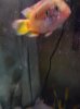 260310_10151486589828558_1922760827_n.jpg