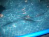 100_4583.jpg