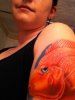 ImageUploadedByMonsterAquariaNetwork1368658558.039484.jpg