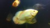2013-05-15_22-46-27_2.jpg 2013-05-15_22-46-27_2.jpg