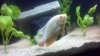 2013-05-15_22-44-53_413.jpg