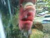20130519_214508.jpg 20130519_214508.jpg