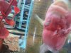 20130520_165951.jpg