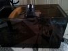 uploadfromtaptalk1369191715663.jpg