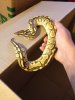 ImageUploadedByMonsterAquariaNetwork1369335219.496650.jpg