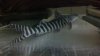 uploadfromtaptalk1370010893338.jpg