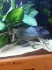 20130527_224432.jpg