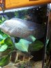 20130531_225047.jpg