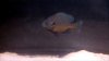 IMG_20130531_225123.jpg