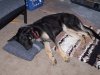 100_2849.JPG