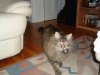 DSCF0038.JPG