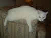 DSCF0022.JPG