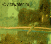 img06.gif