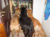 3butts.jpg