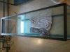 fishtank 001.JPG