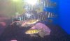 IMAG0774.jpg
