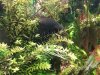 20130606_190325.jpg