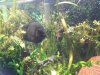 20130606_190515.jpg
