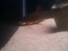 uploadfromtaptalk1370612765457.jpg