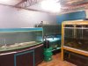 2013-06-15 18.46.37.jpg