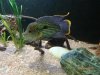 DSC01544.JPG