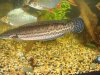 DSC04190.JPG
