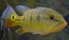 06162013LeftSideCalm.jpg