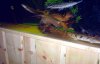 yep-03125g_p.neu.sp.1b.jpg