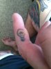 ImageUploadedByMonsterAquariaNetwork1371580893.731483.jpg