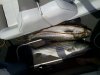 stripers2013.jpg