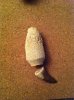 ImageUploadedByMonsterAquariaNetwork1371630964.759675.jpg ImageUploadedByMonsterAquariaNetwork1371630964.759675.jpg