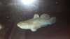 20130619_231931_resized.jpg
