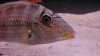 IMG_20130519_145948_628.jpg