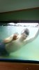 uploadfromtaptalk1372015562417.jpg