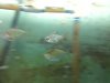 uploadfromtaptalk1372015974201.jpg