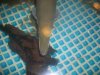 100_4746.jpg