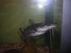 DSCN1220.JPG