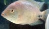 2013-06-29-1043.jpg