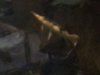 uploadfromtaptalk1372727075509.jpg